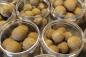 Preview: Fifty Fish Wafters 100 g.